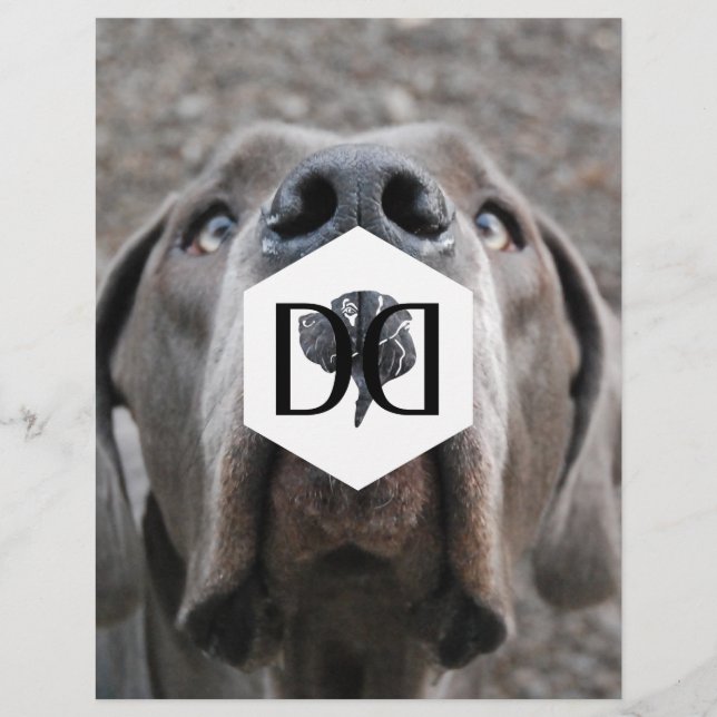 Doggenzucht Inventar Flyer (Framsidan)