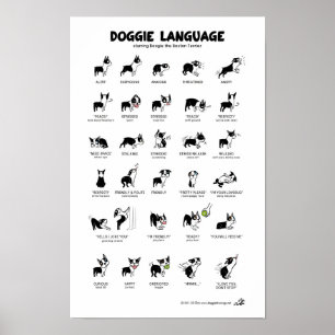 DOGGIE SPRGUAGE Large Poster