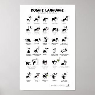 DOGGIE SPRGUAGE Large Poster
