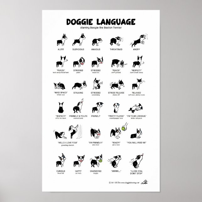 DOGGIE SPRGUAGE Large Poster (Framsidan)