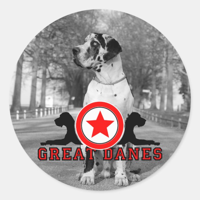 Doggklistermärke Runt Klistermärke (Framsida)