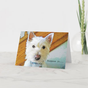 Doggo, Grattis på födelsedagen, Westie Tittar på d Kort