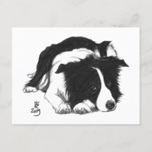 Doggust 2019 Border Collie vykort