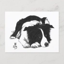 Doggust 2019 Border Collie vykort