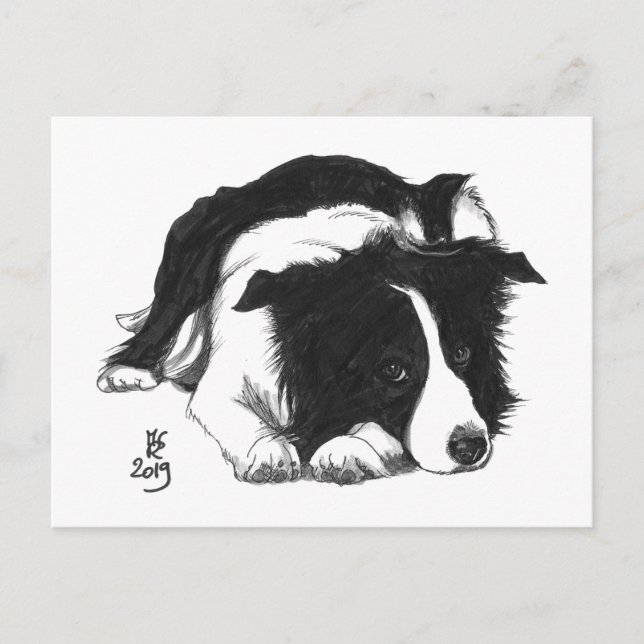 Doggust 2019 Border Collie vykort (Framsida)