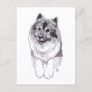 Doggust 2019 Keeshond vykort