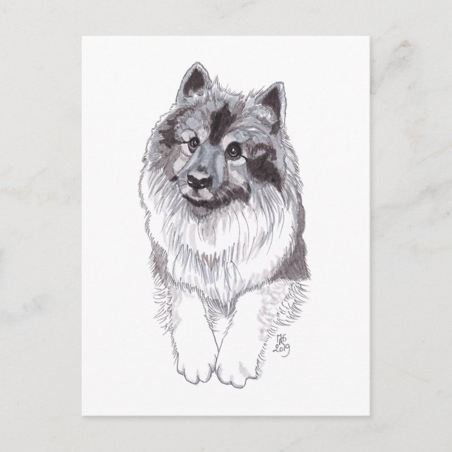 Doggust 2019 Keeshond vykort (Framsida)
