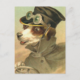 Doggy-drivrutin Vykort