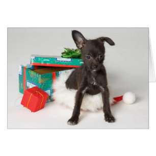 Doggy Julklapp Hälsningskort