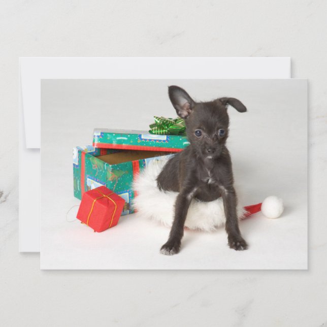 Doggy Julklapp Julkort (Framsida)