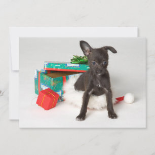 Doggy Julklapp Julkort