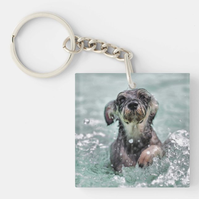 Doggy Paddle Cute Hund Swimming (Framsidan)