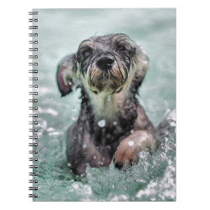 Doggy Paddle Cute Hund Swimming Anteckningsbok