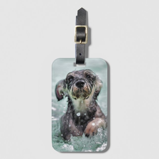 Doggy Paddle Cute Hund Swimming Bagagebricka (Framsida vertikal)