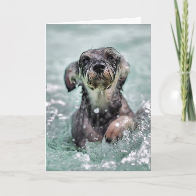 Doggy Paddle Cute Hund Swimming Kort (Framsida)