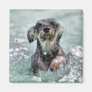 Doggy Paddle Cute Hund Swimming Magnet