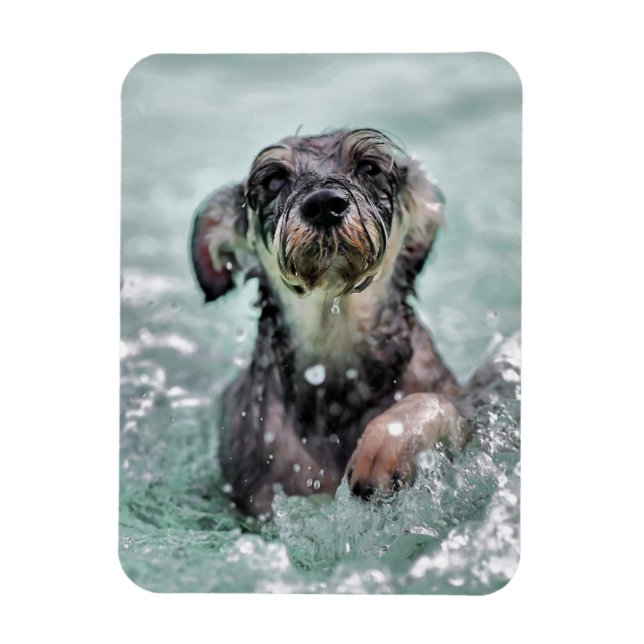Doggy Paddle Cute Hund Swimming Magnet (Vertikal)