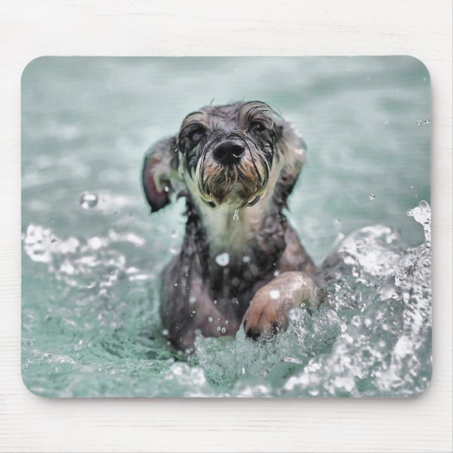 Doggy Paddle Cute Hund Swimming Musmatta (Framsidan)