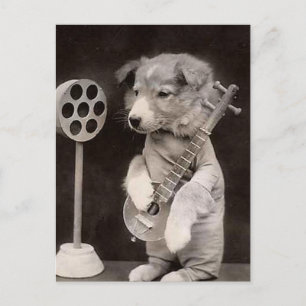 Doggy Radio Star Vykort