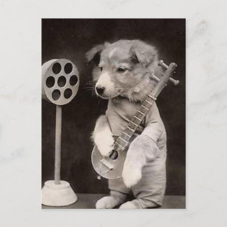 Doggy Radio Star Vykort