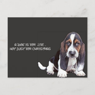 dogm vykort
