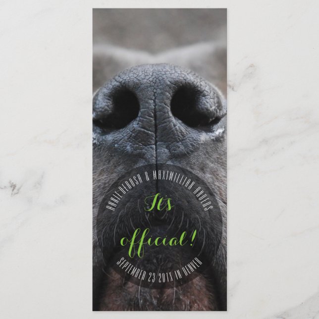 Dognose Rack-kort Program (Framsida)