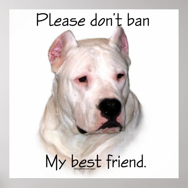 Dogo Argentino Anti-BSL Poster (Framsidan)