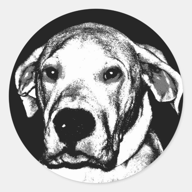 Dogo Argentino-dekal Runt Klistermärke (Framsida)