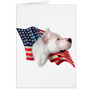 Dogo Argentino Flagga Hälsningskort