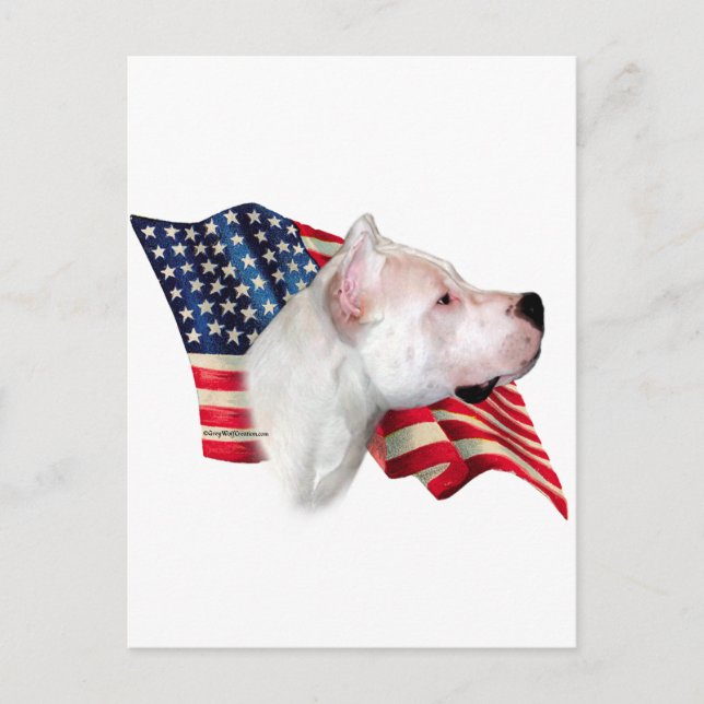 Dogo Argentino Flagga Vykort (Framsida)