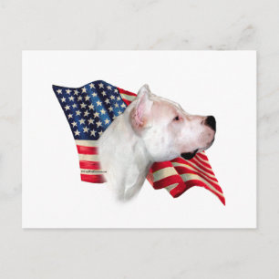 Dogo Argentino Flagga Vykort