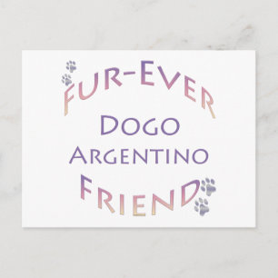 Dogo Argentino Furever Vykort