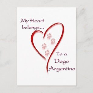 Dogo Argentino Heart-Tillhören Vykort