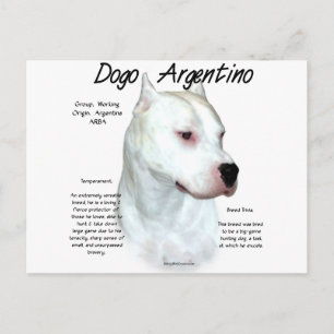 Dogo Argentino History Design Vykort