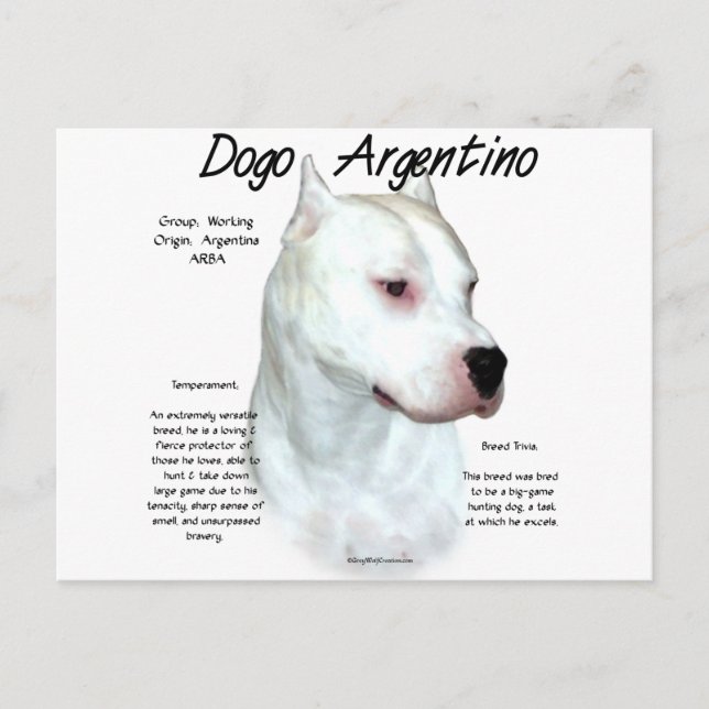 Dogo Argentino History Design Vykort (Framsida)