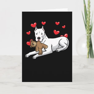 Dogo Argentino Hund med Mjukisdjur och öron Kort