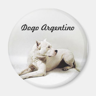 Dogo Argentino Magnet