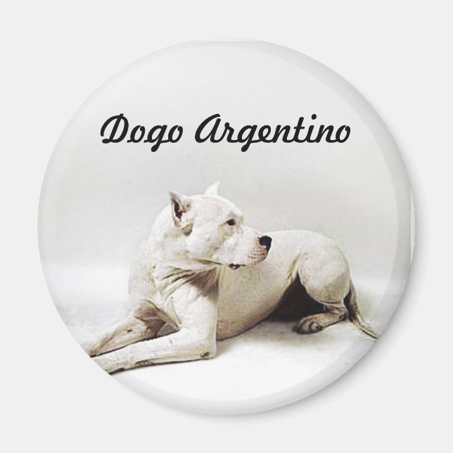 Dogo Argentino Magnet (Framsidan)