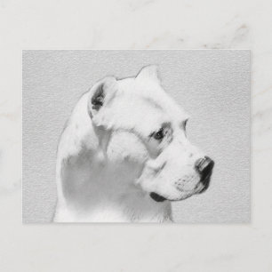 Dogo Argentino Painting - Original Hund Art Vykort