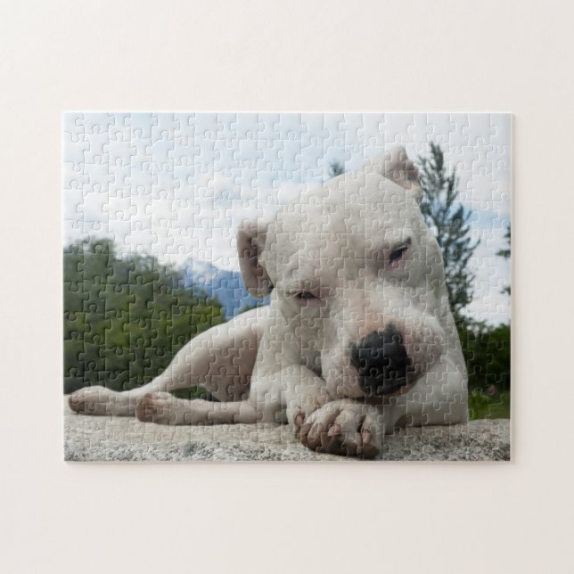 Dogo Argentino  Pussel (Horisontell)