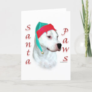 Dogo Argentino Santa Tassar Helgkort