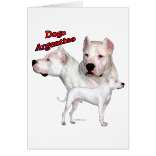 Dogo Argentino Trio 2 Hälsningskort