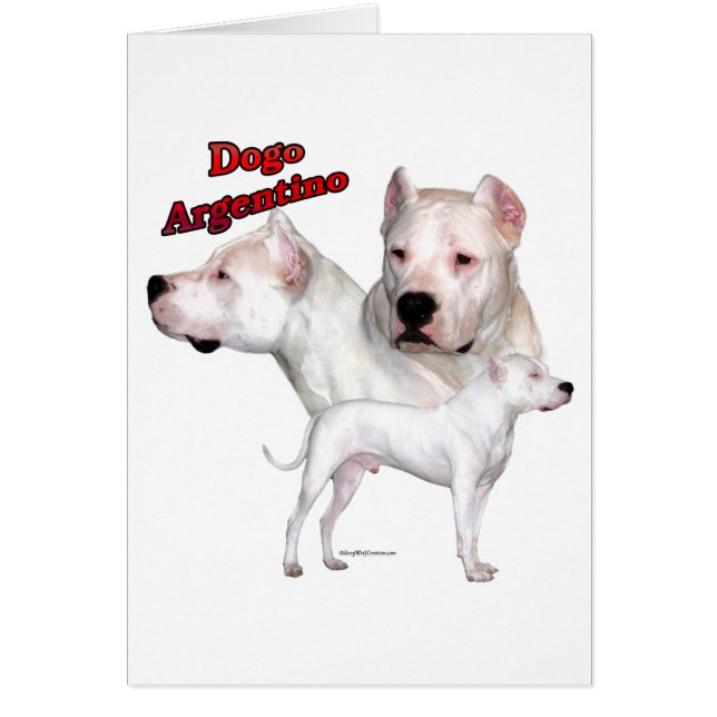 Dogo Argentino Trio 2 Hälsningskort (Framsidan)