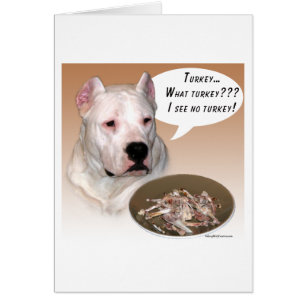 Dogo Argentino Turkiet Hälsningskort