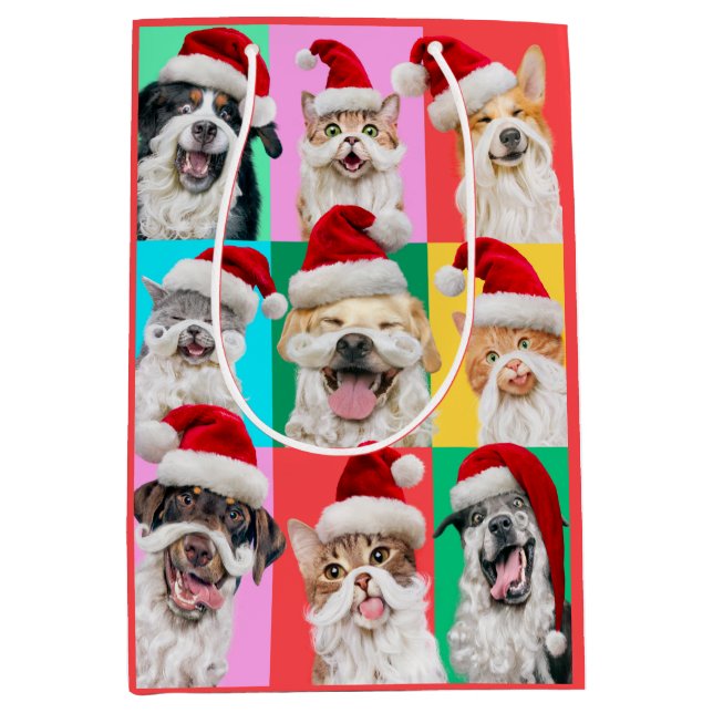 Dogs and Cats with Santa Beard (Framsidan)