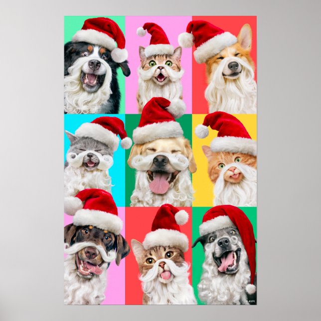 Dogs and Cats with Santa Beard Poster (Framsidan)