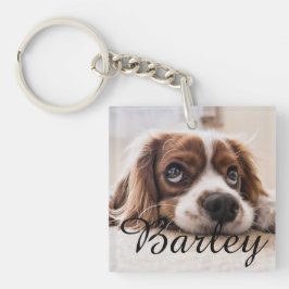 Dog's Simple Modern Elegant Chic Name and Photo 