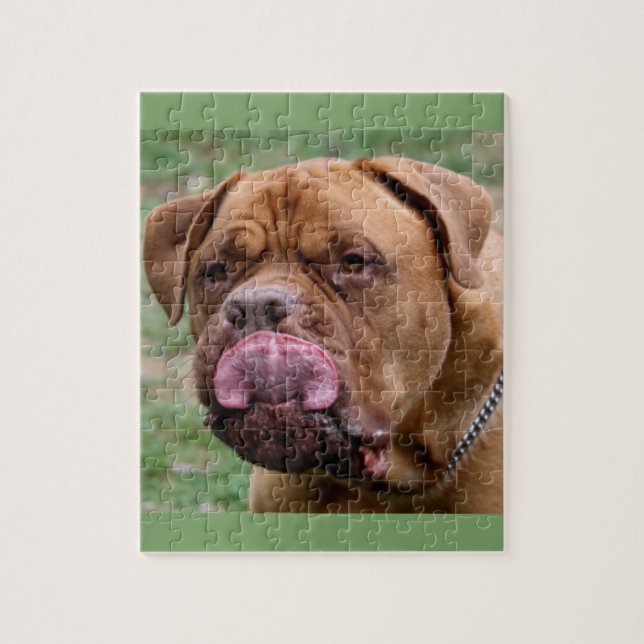 Dogue de Bordeaux 8x10 fotopussel (Vertikal)