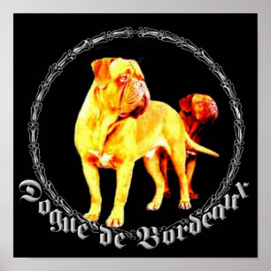 Dogue de Bordeaux affisch
