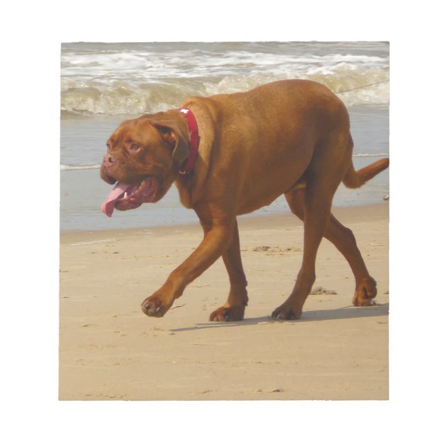 dogue de bordeaux anteckningsblock (Framsida)